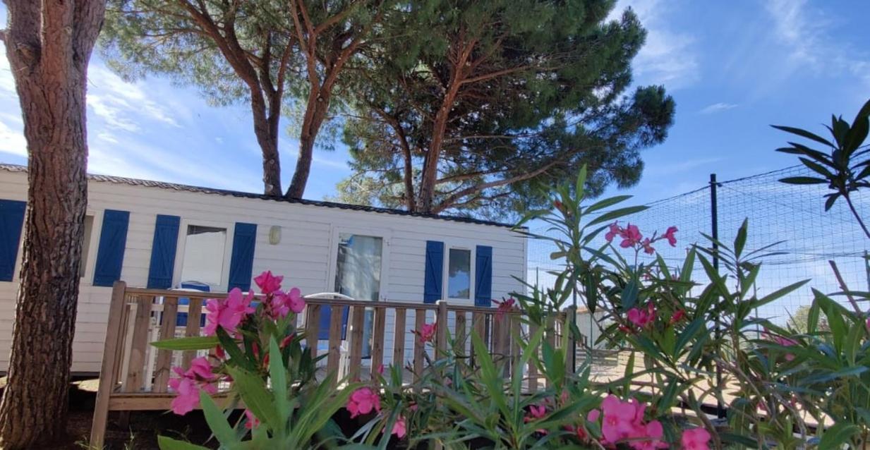 Domaine Residentiel De Plein Air Odalys La Pinede Agde Eksteriør bilde