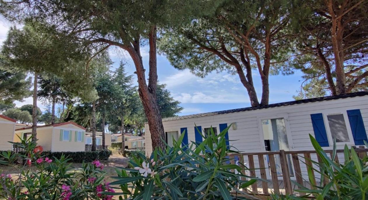 Domaine Residentiel De Plein Air Odalys La Pinede Agde Eksteriør bilde
